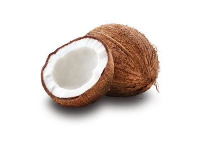 Organic Coconut Milk Powder