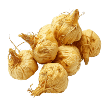 Maca Root